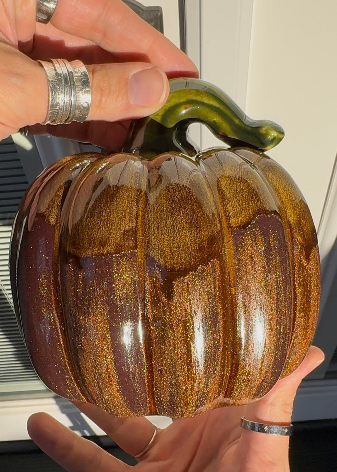 Thanksgiving Harvest Pumpkin Collection