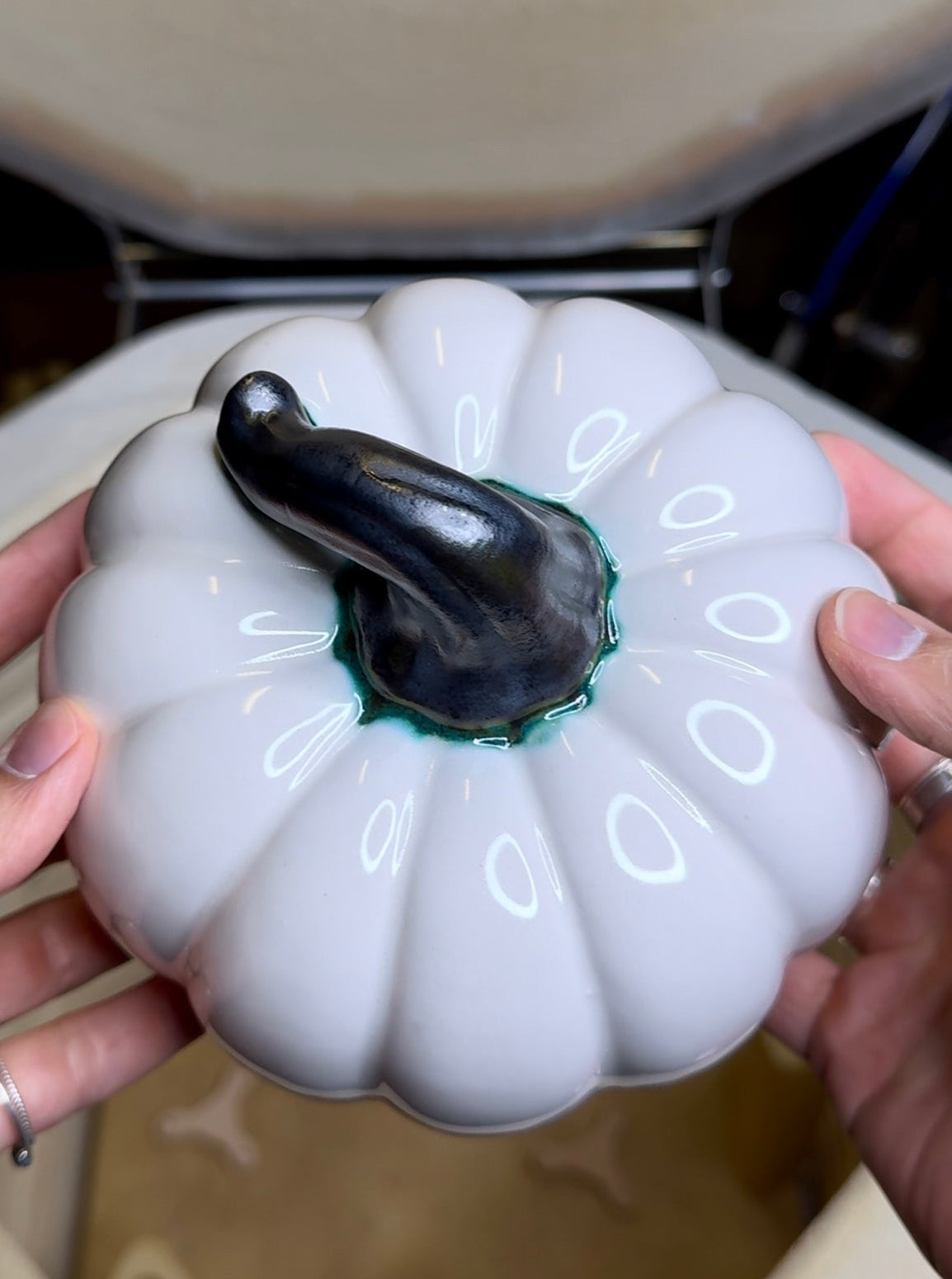 Harvest Wide Gourd- White