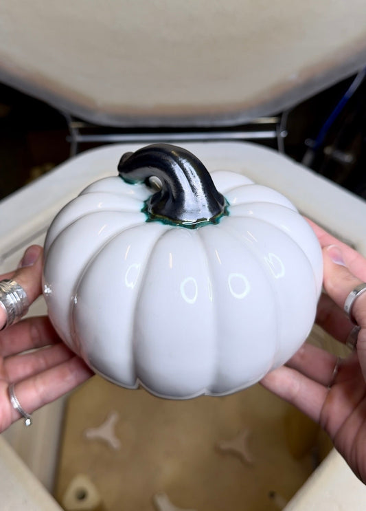 Harvest Wide Gourd- White