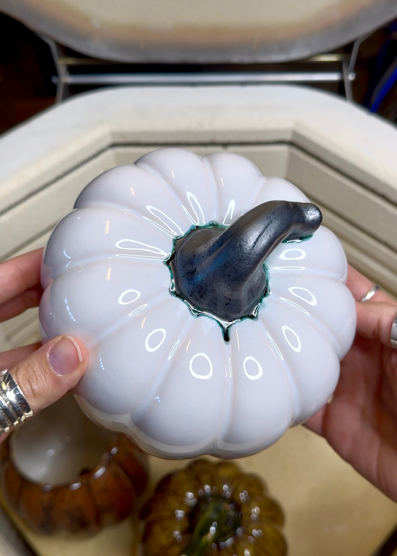 Harvest Wide Gourd- White